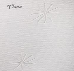 potah Ciana<br/>CIANA
Potah je vyroben ze 100 % polyesteru. Zkladn potahov ltka, kter je pjemn na dotek. Je jednovrstv - nepodvan. Potah je snmateln a prateln na 40 C.