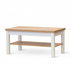 Konferen�n� stolek W21