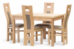 Ukázka jídelních židli TOSCA v bukovém provedení